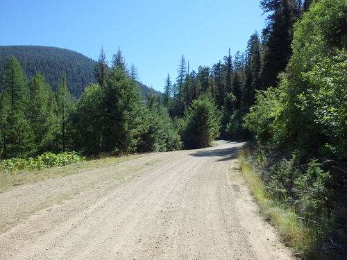 GDMBR: We were on NF-4106 looking toward Huckleberry pass.